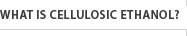 What is Cellulosic Ethanol?